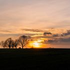 Sonnenuntergang am Rande von Berlin mitten in der Natur