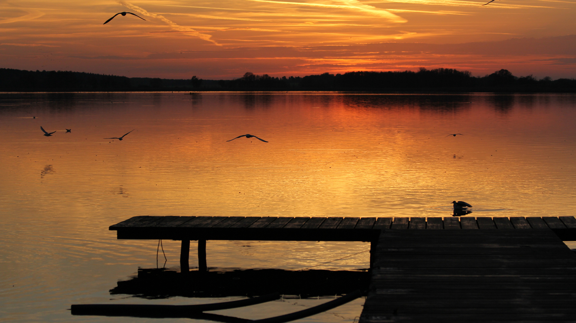 Sonnenuntergang am Rangsdorfer See 