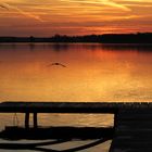 Sonnenuntergang am Rangsdorfer See 