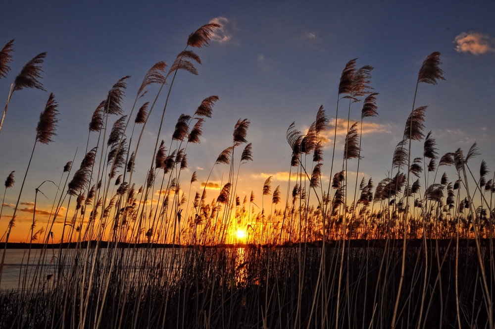 Sonnenuntergang am Rangsdorfer See....