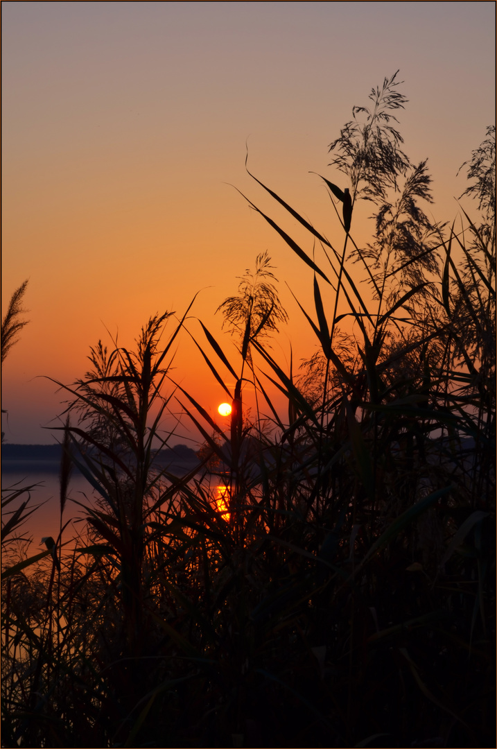 Sonnenuntergang am Rangsdorfer See.....