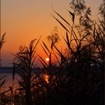Sonnenuntergang am Rangsdorfer See.....