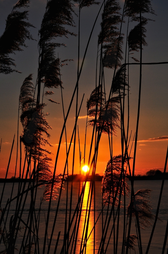 Sonnenuntergang am Rangsdorfer See....