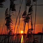 Sonnenuntergang am Rangsdorfer See....