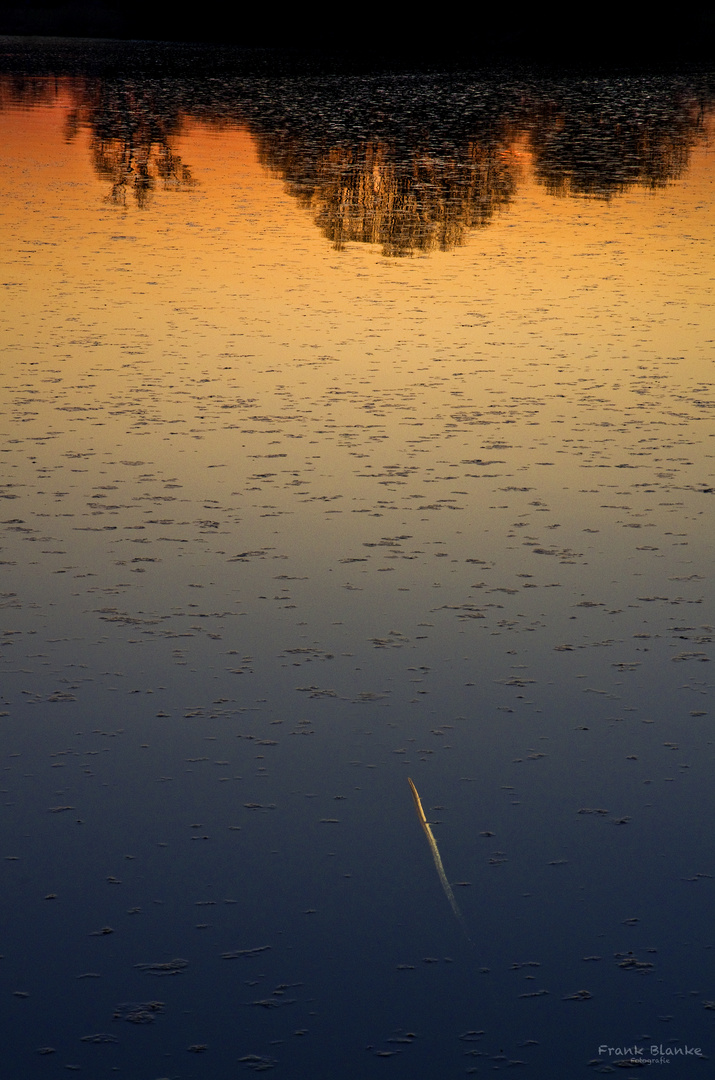 Sonnenuntergang am Reinheimer Teich