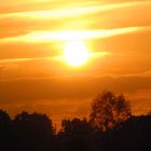 Sonnenuntergang am Rhein