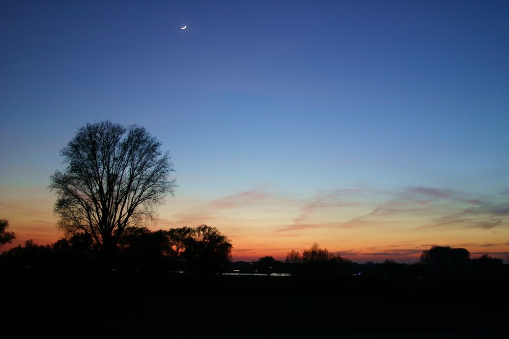 Sonnenuntergang am Rhein 1