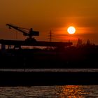 Sonnenuntergang am Rhein 1