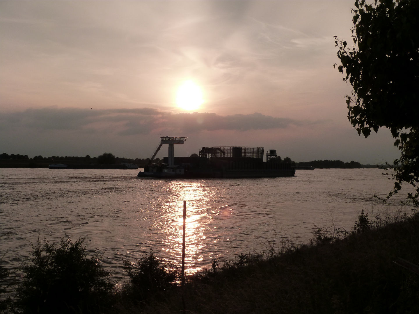 Sonnenuntergang am Rhein