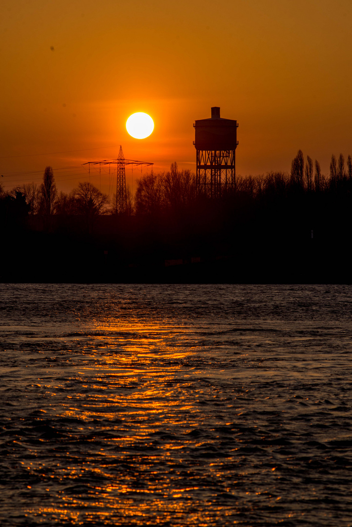 Sonnenuntergang am Rhein 2