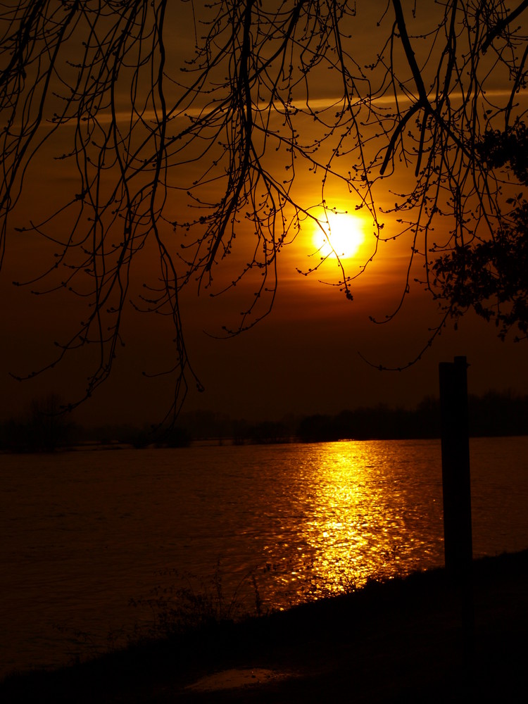 Sonnenuntergang am Rhein 2