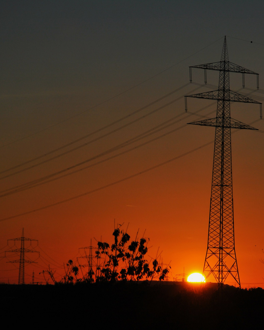 Sonnenuntergang  am Rhein 2