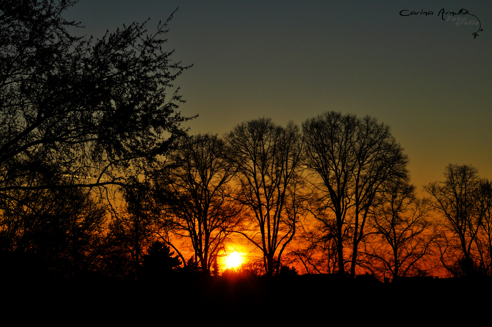 Sonnenuntergang am Rhein