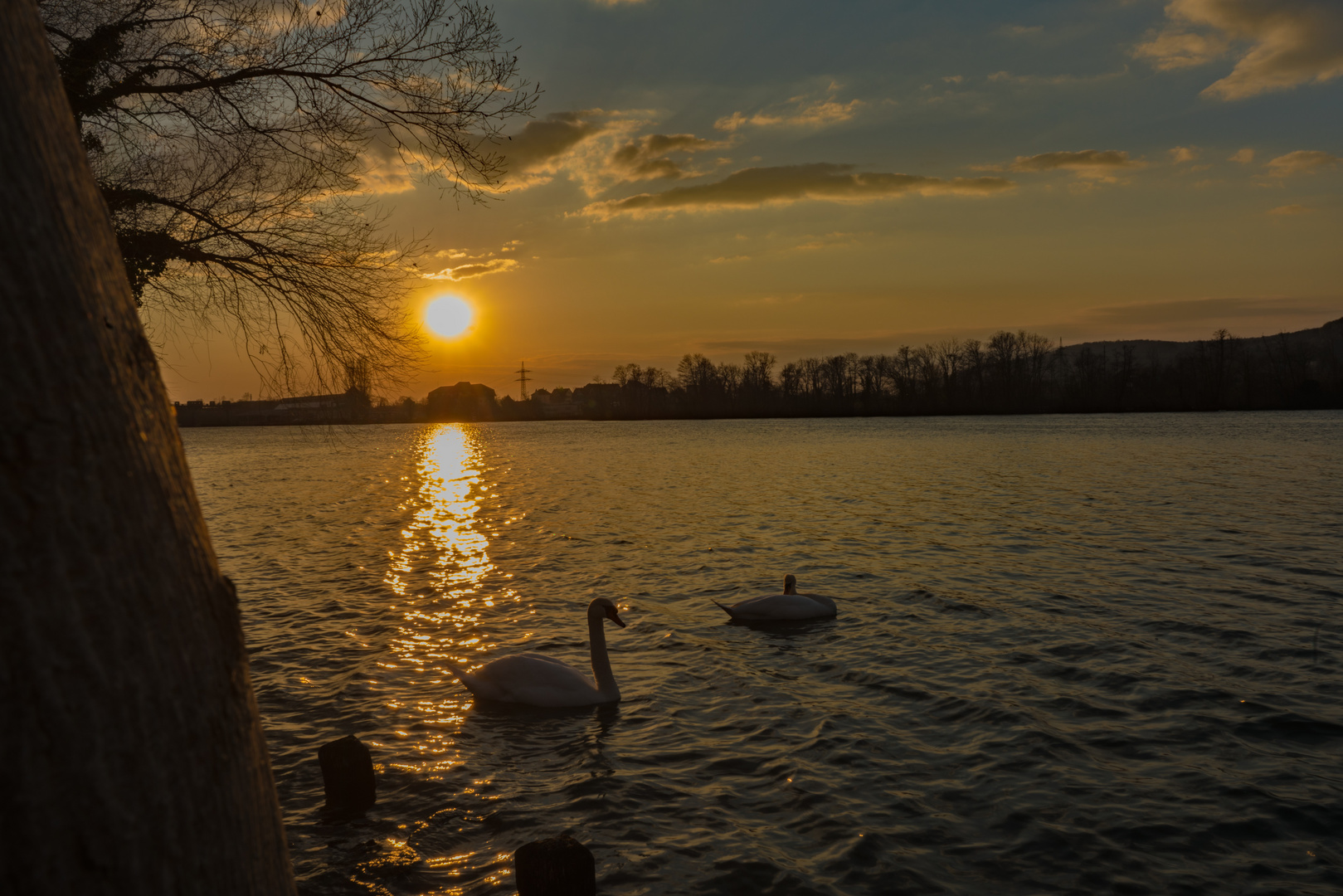 Sonnenuntergang am Rhein 25.03.2020