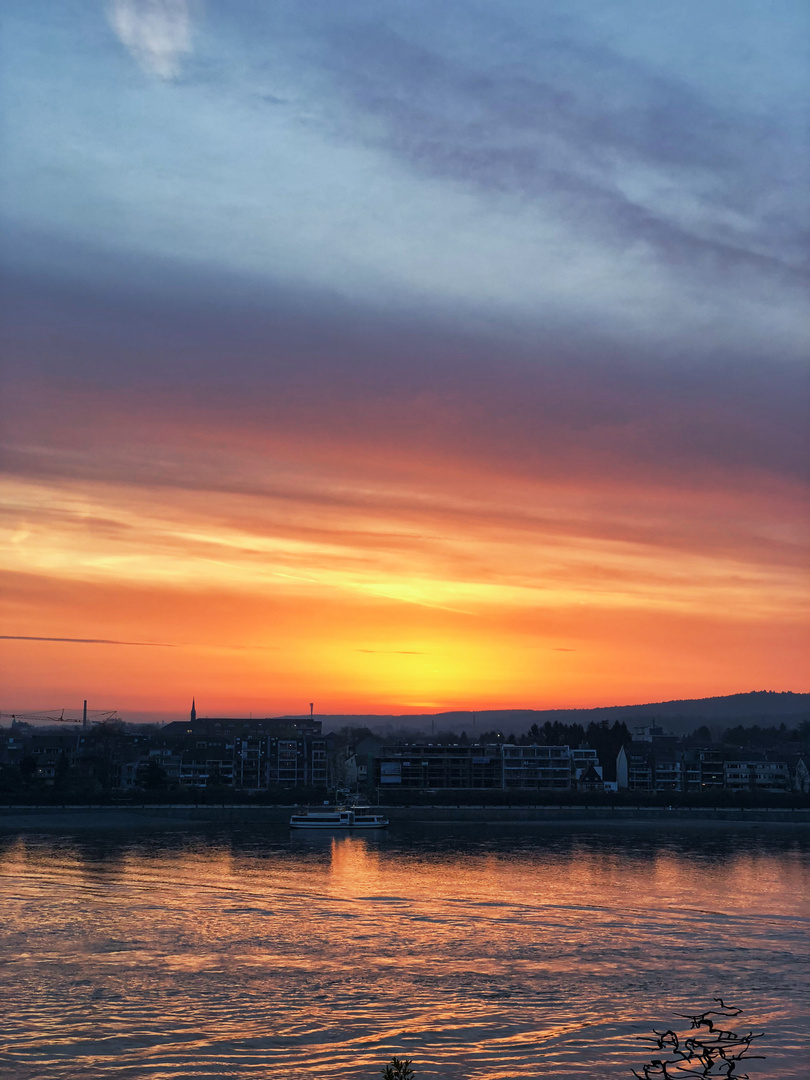 Sonnenuntergang am Rhein 3/3