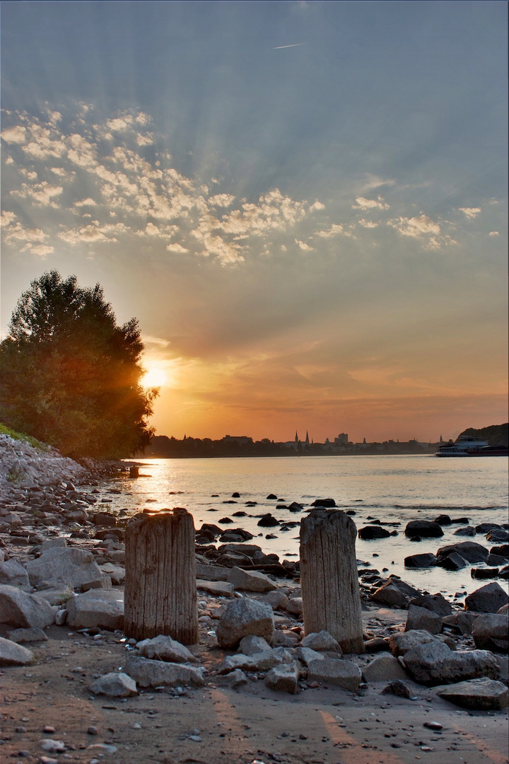 Sonnenuntergang am Rhein