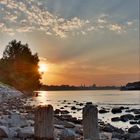 Sonnenuntergang am Rhein