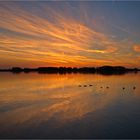 Sonnenuntergang am Rhein...