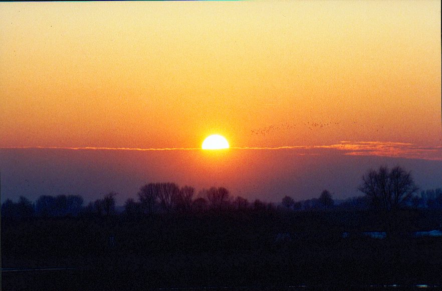 Sonnenuntergang am Rhein