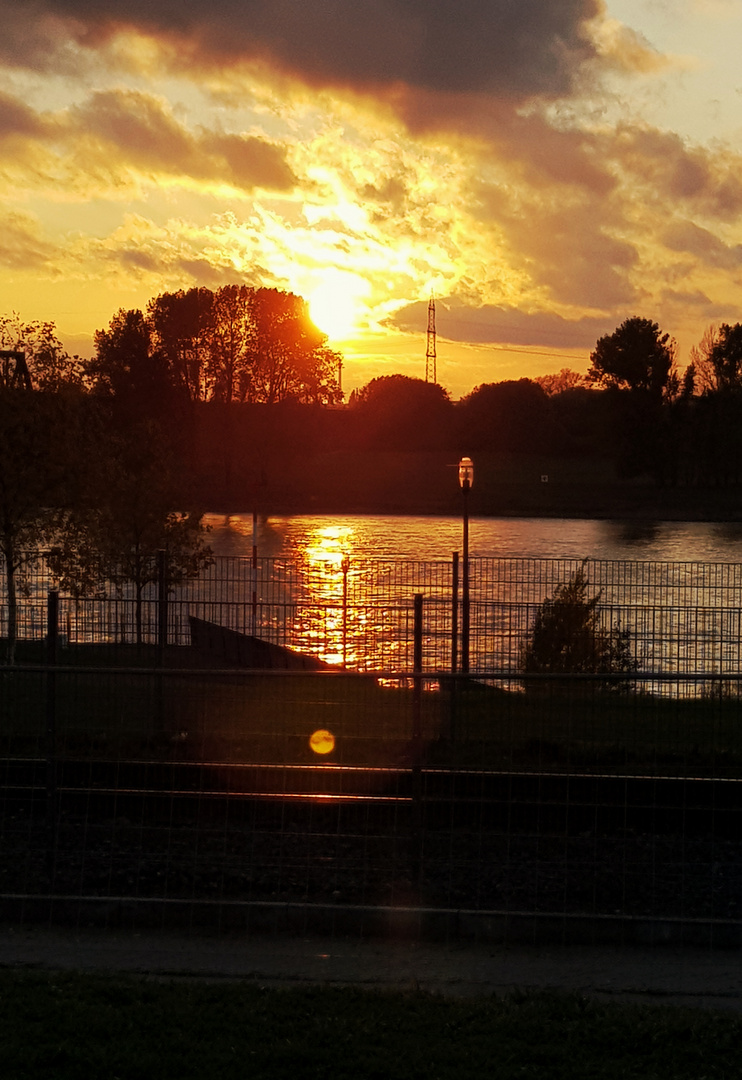 Sonnenuntergang am Rhein... 