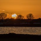 Sonnenuntergang am Rhein