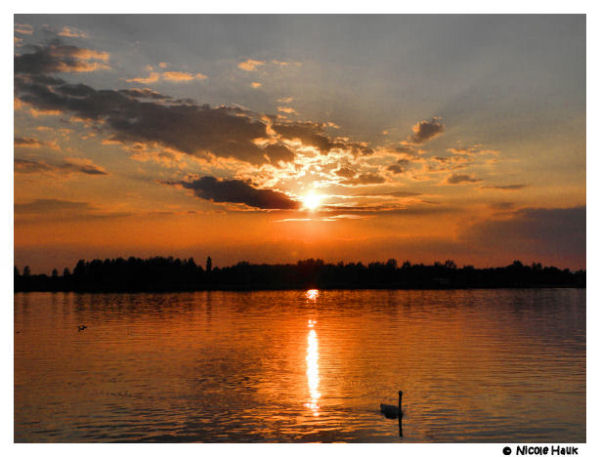 Sonnenuntergang am Rhein