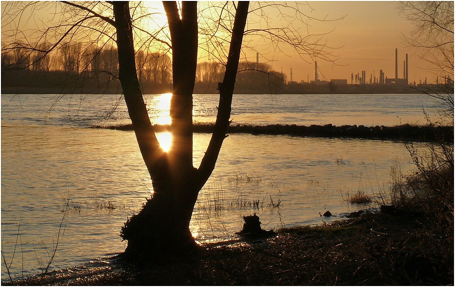 Sonnenuntergang am Rhein