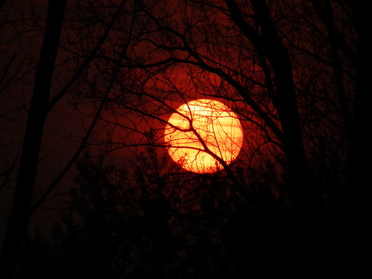 Sonnenuntergang am Rhein