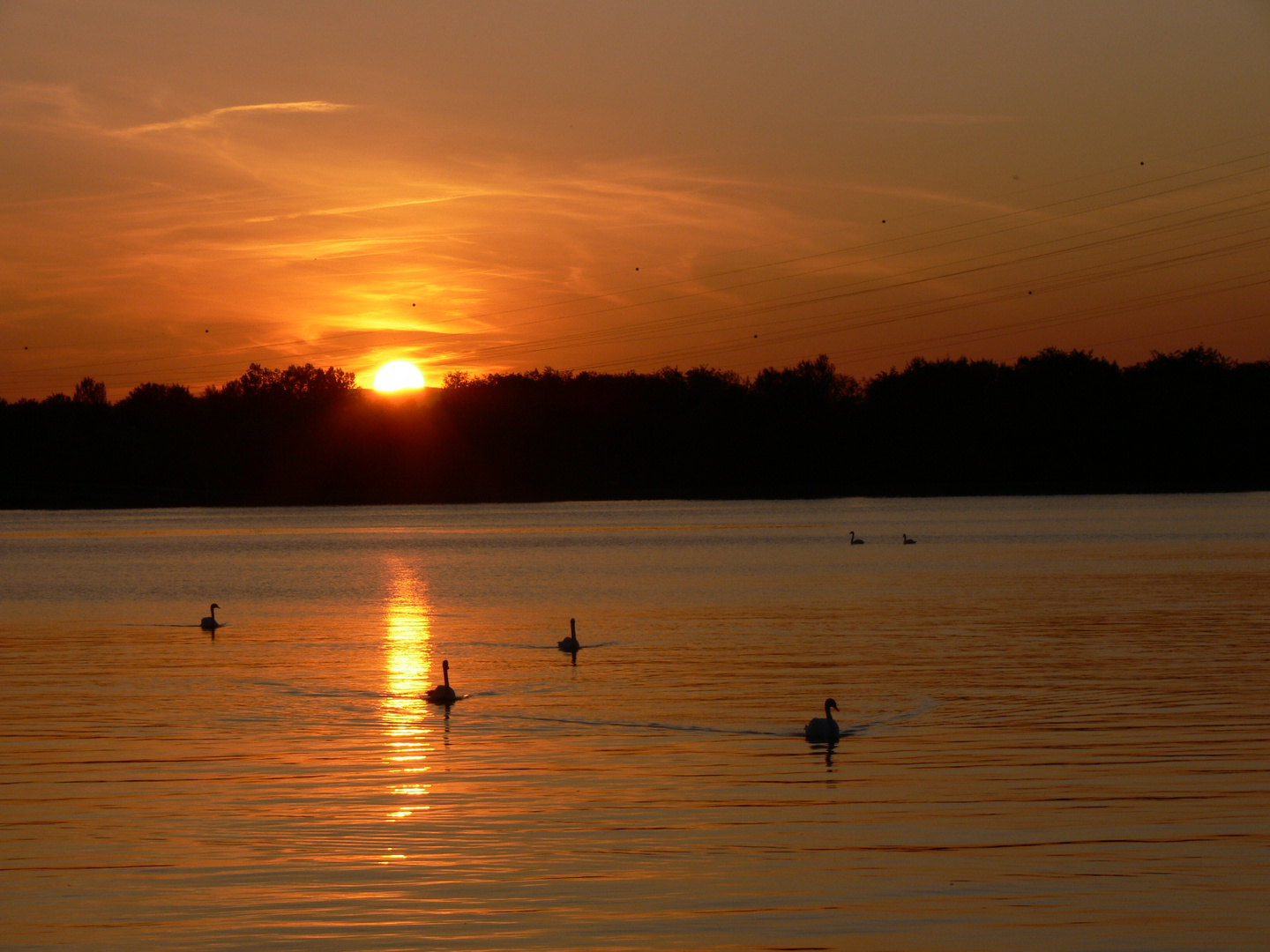 Sonnenuntergang am Rhein