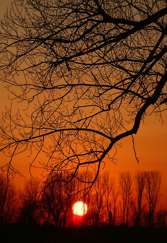 Sonnenuntergang am Rhein