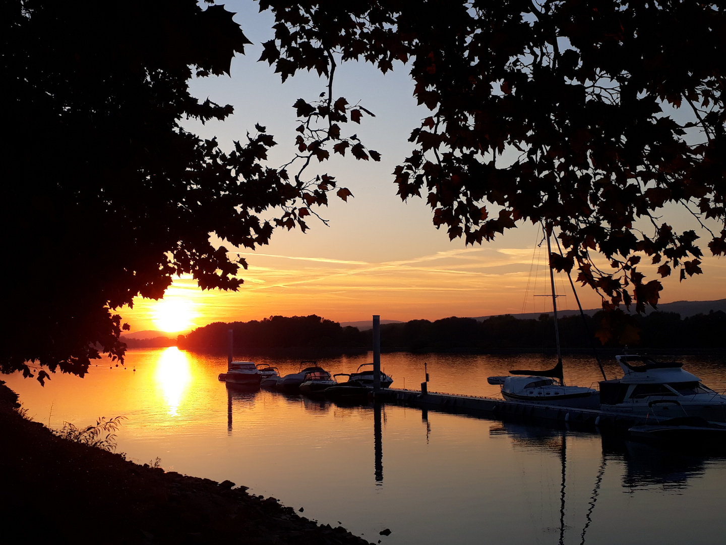 Sonnenuntergang am Rhein