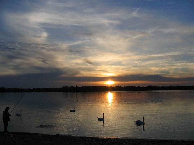 Sonnenuntergang am Rhein