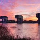 Sonnenuntergang am Rhein