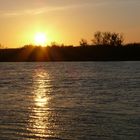 Sonnenuntergang am Rhein