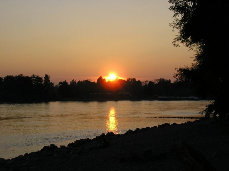 Sonnenuntergang am Rhein