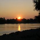 Sonnenuntergang am Rhein