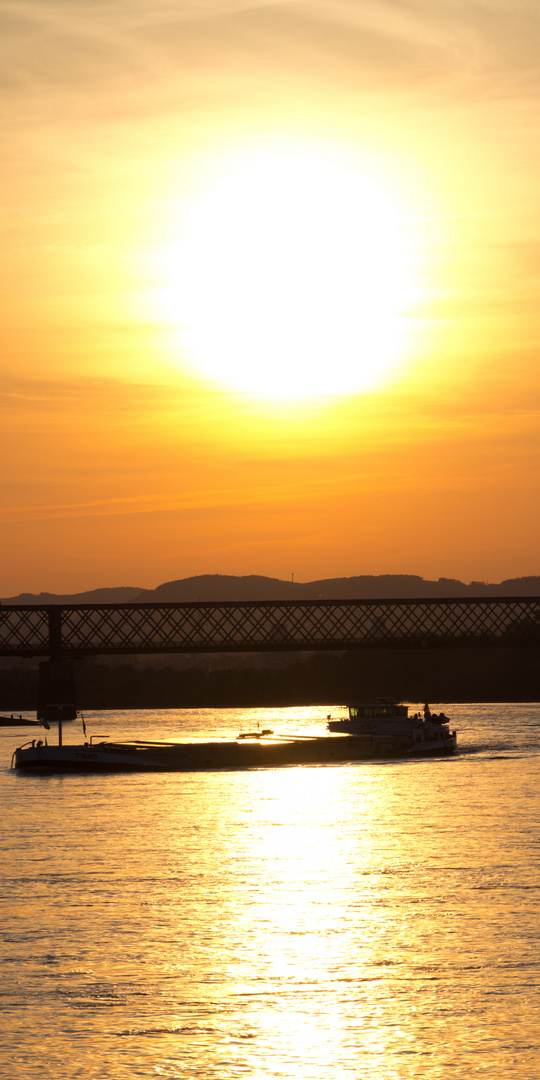 Sonnenuntergang am Rhein bei Engers