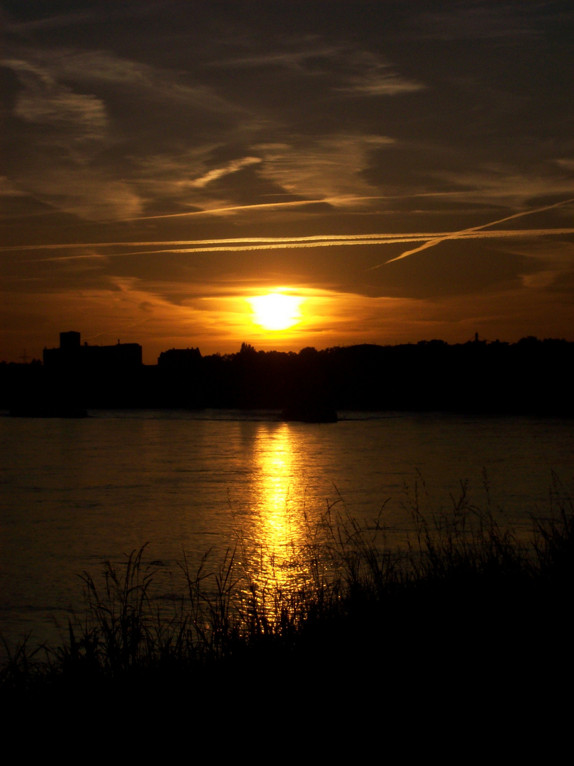 Sonnenuntergang am Rhein