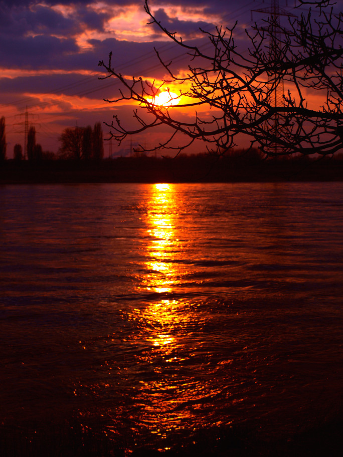 Sonnenuntergang am Rhein