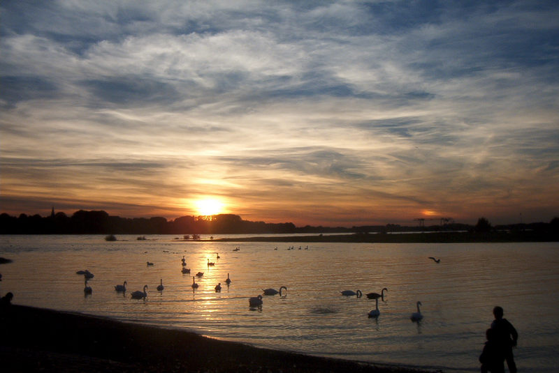 Sonnenuntergang am Rhein