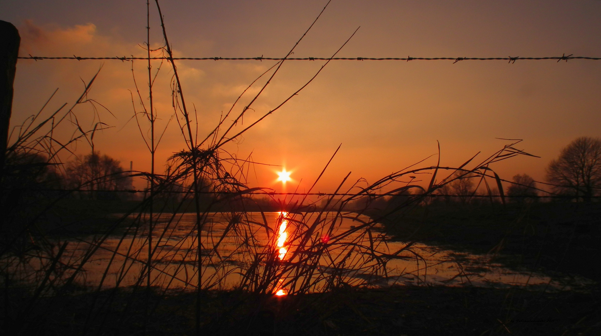 Sonnenuntergang am Rhein