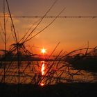 Sonnenuntergang am Rhein