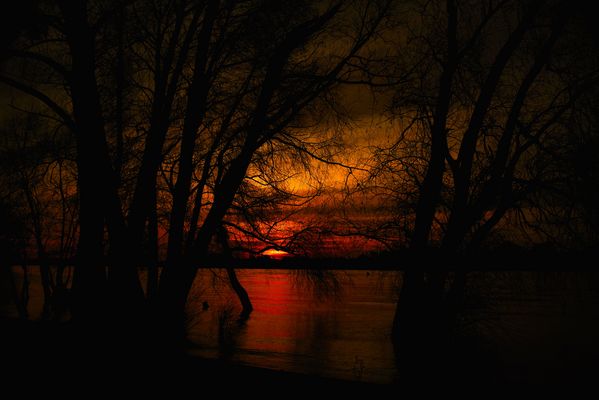 Sonnenuntergang am Rhein