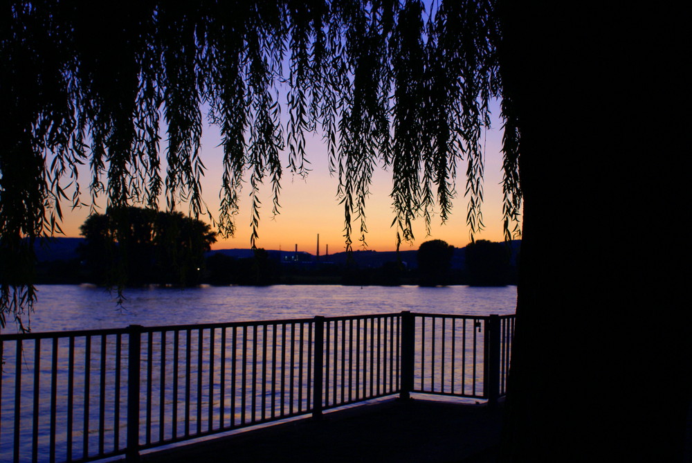 Sonnenuntergang am Rhein