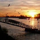 Sonnenuntergang am Rhein in Kaiserswerth (Düsseldorf)