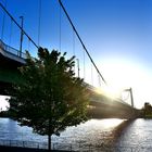 Sonnenuntergang am Rhein in Köln Mühlheim