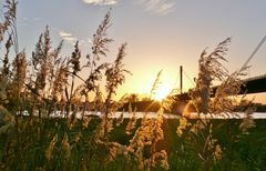 Sonnenuntergang am Rhein in Leverkusen