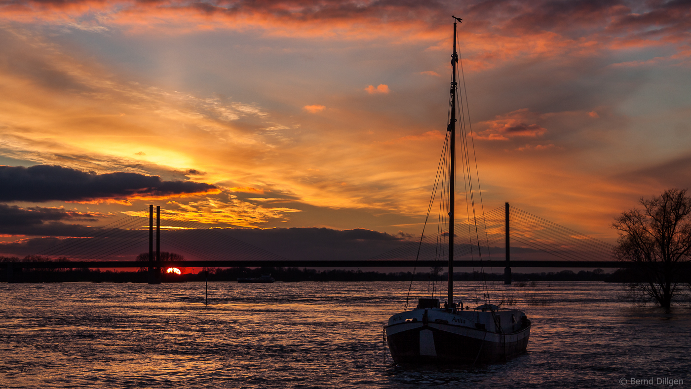 Sonnenuntergang am Rhein (Rees)