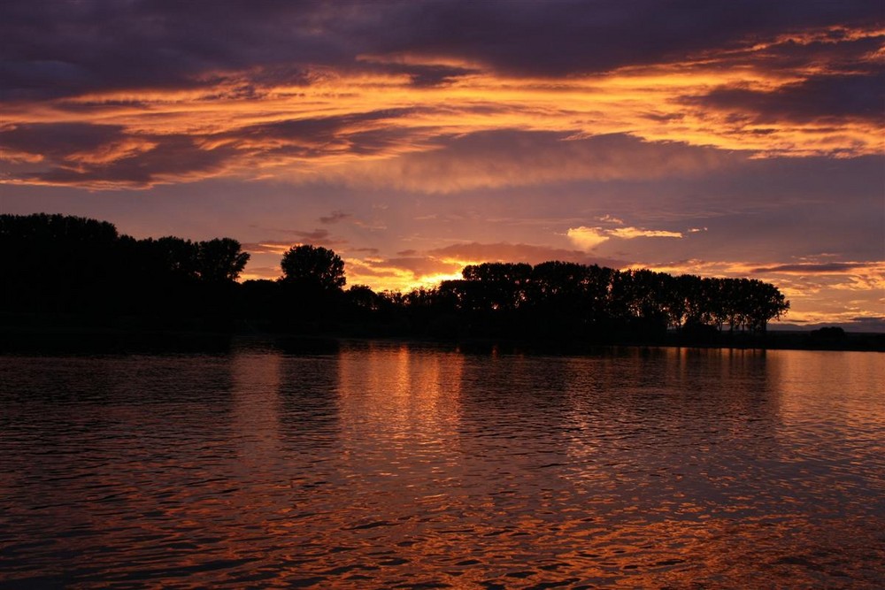 Sonnenuntergang am Rhein - Teil II