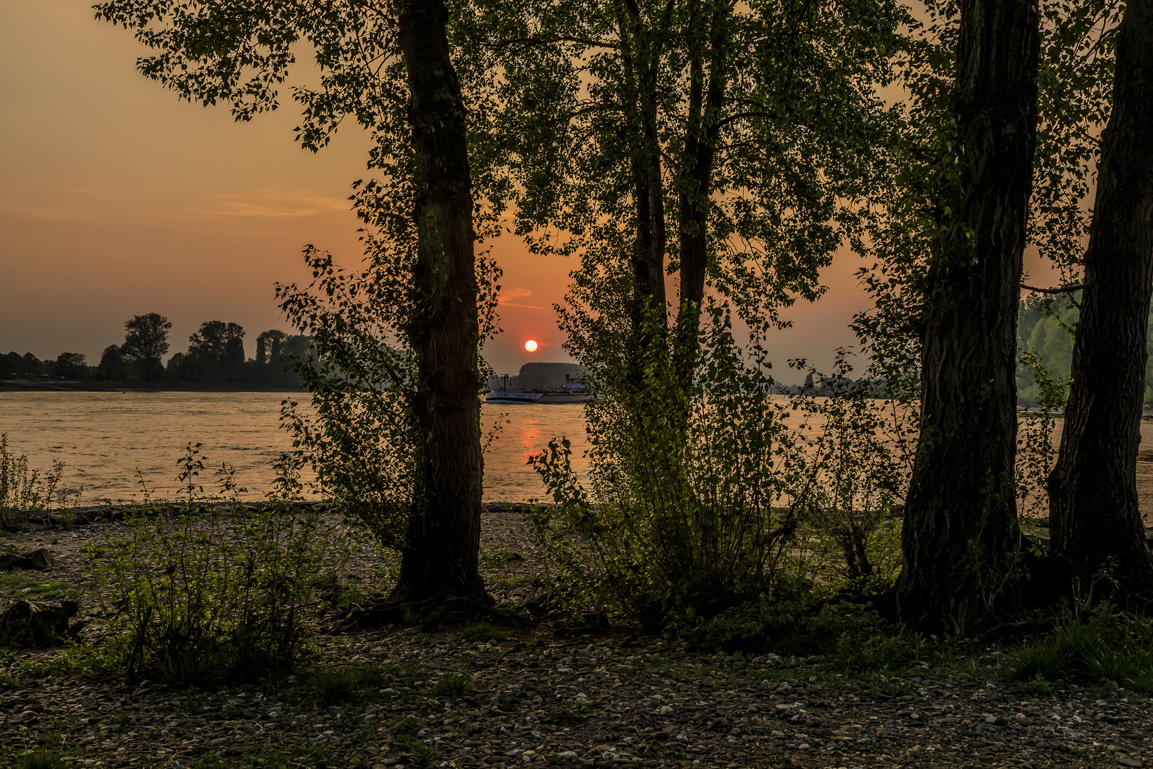 Sonnenuntergang am Rhein und Sieg